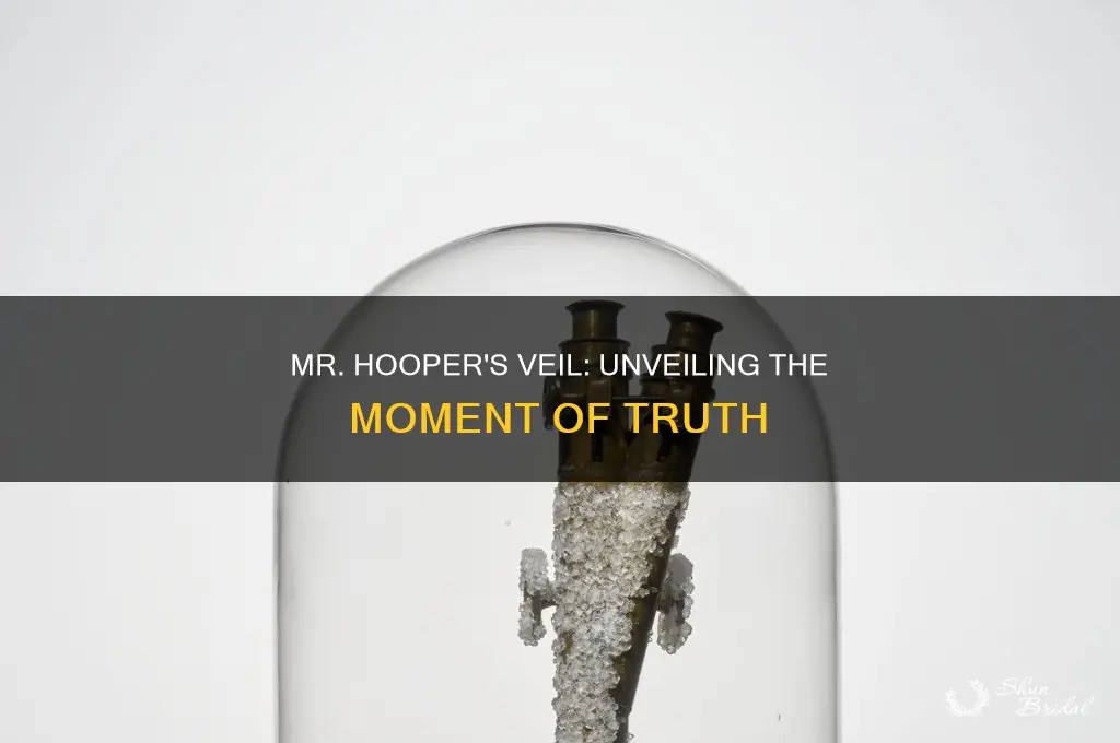 when does mr hooper finally remove the veil