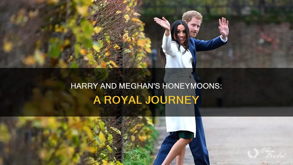 when does prince harry go on his honeymoon