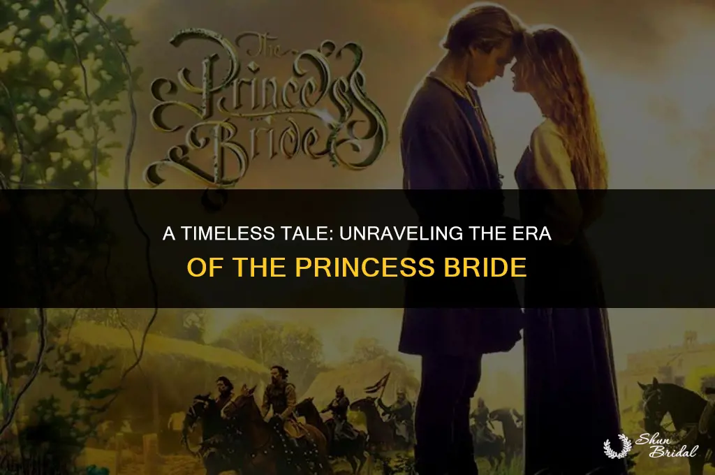 when does princess bride take place