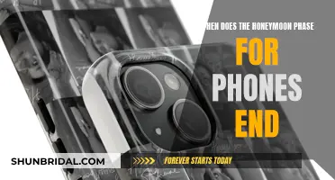 The Honeymoon Phase for Phones: When Does the Magic End?