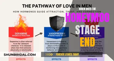 Understanding the Transience of Honeymoon Periods