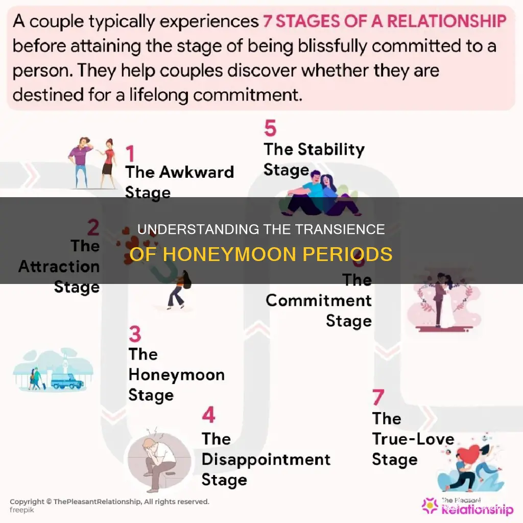 when does the honeymoon stage end