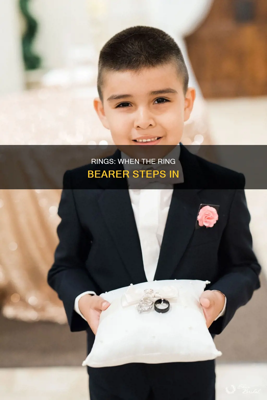 when does the ring bearer give the rings