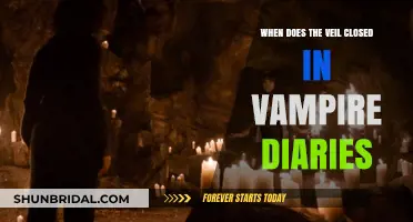 The Veil's Closure in The Vampire Diaries: Timing Explained