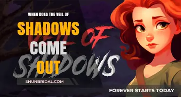 Veil of Shadows Release Date: What We Know So Far