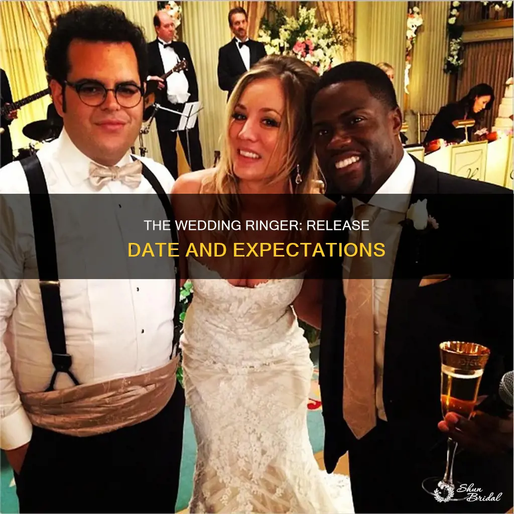 when does the wedding ringer come out in theaters