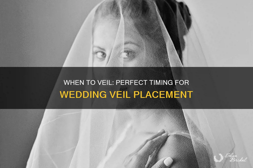 when does the wedding veil come on