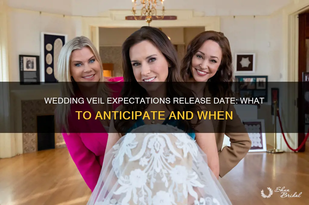 when does the wedding veil expectations come out