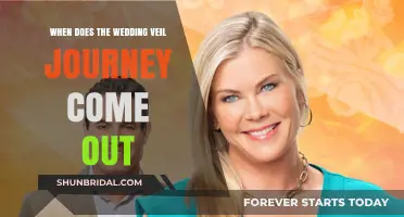 Wedding Veil Journey Release Date: When to Expect the New Chapter