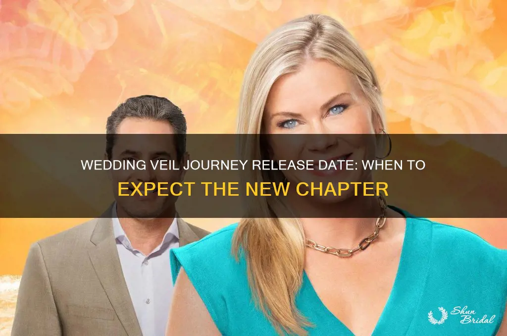 when does the wedding veil journey come out