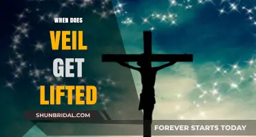When Does the Veil Get Lifted: Unveiling Life's Hidden Truths