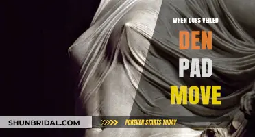 Veiled Den Pad Movement: Timing and Strategic Considerations Explained