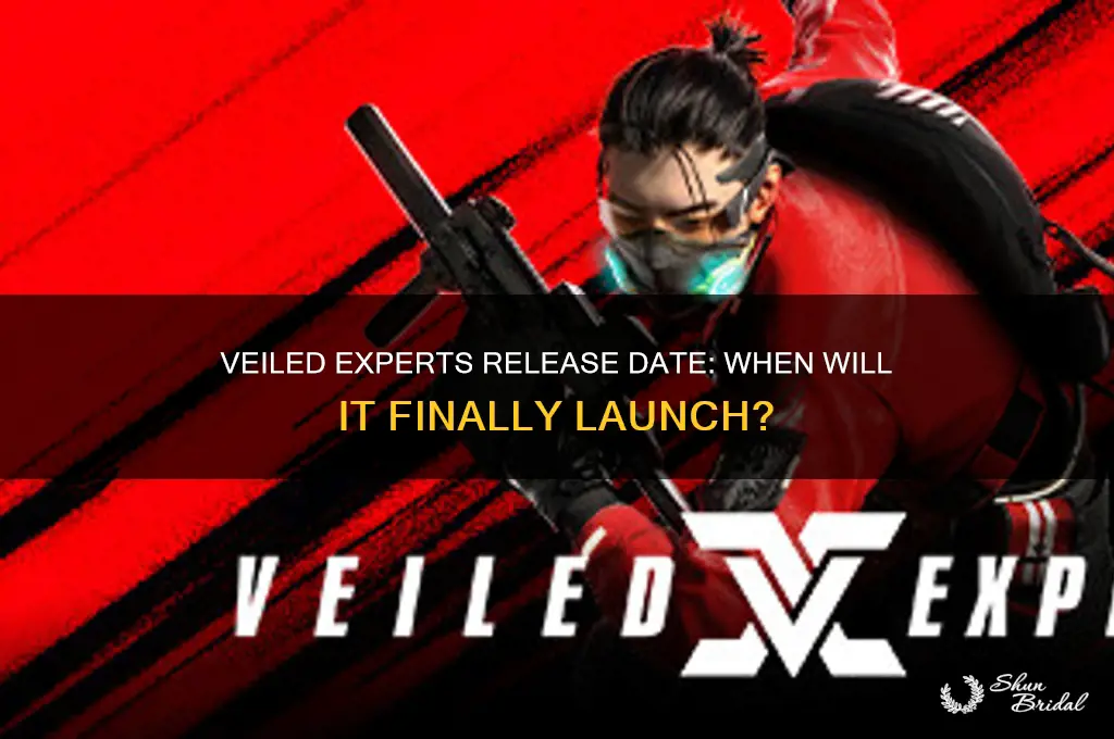 when does veiled experts come out