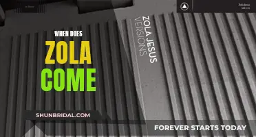 Zola's Arrival: The Anticipated Launch and What to Expect