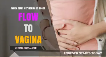 Understanding Female Arousal: Blood Flow to the Vagina Explained