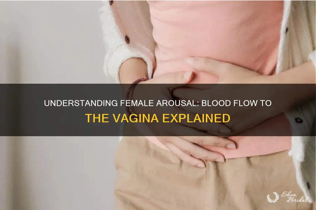 when girls get horny do blood flow to vagina