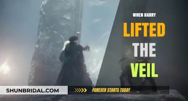 Harry's Veil Revelation: Unveiling Secrets and Shifting Realities