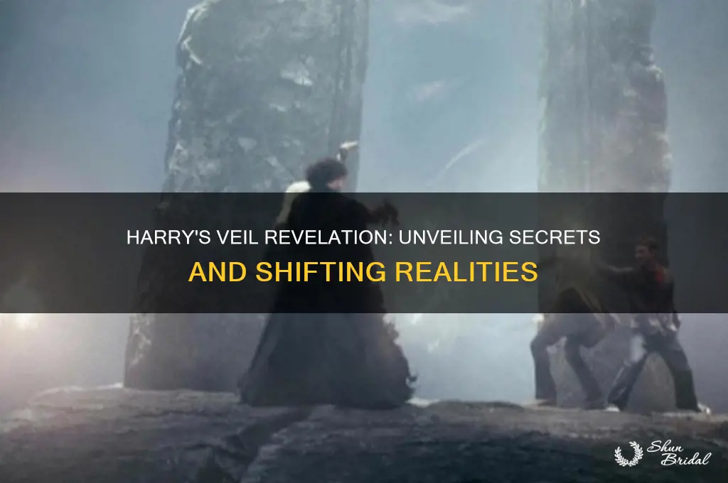 when harry lifted the veil