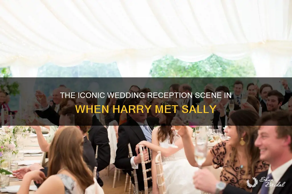 when harry met sally wedding reception scene