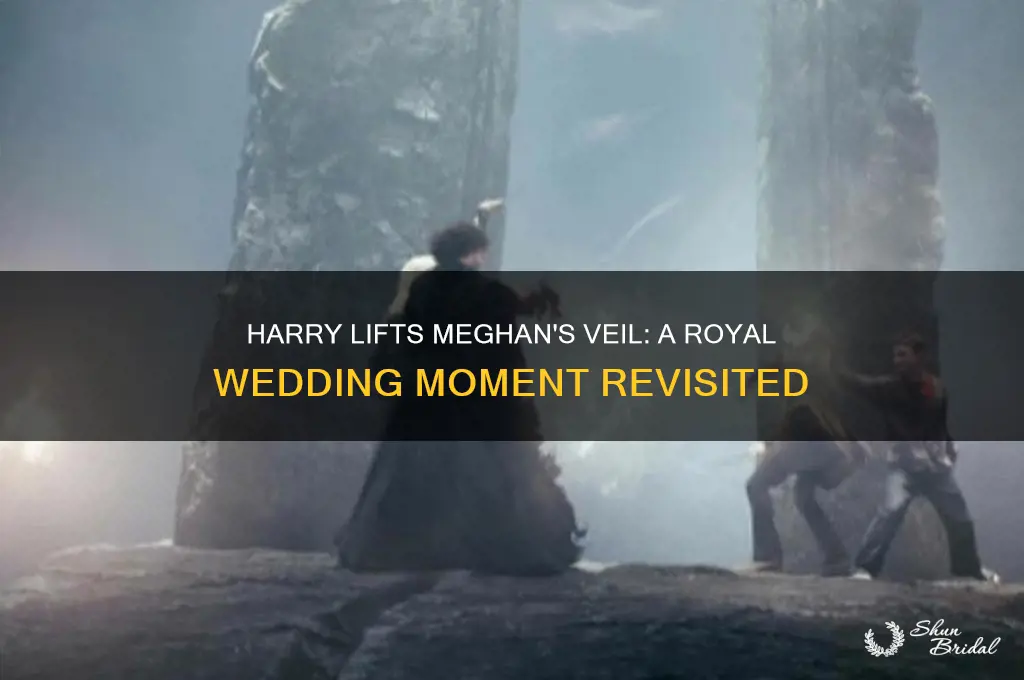 when harry removed meghans veil