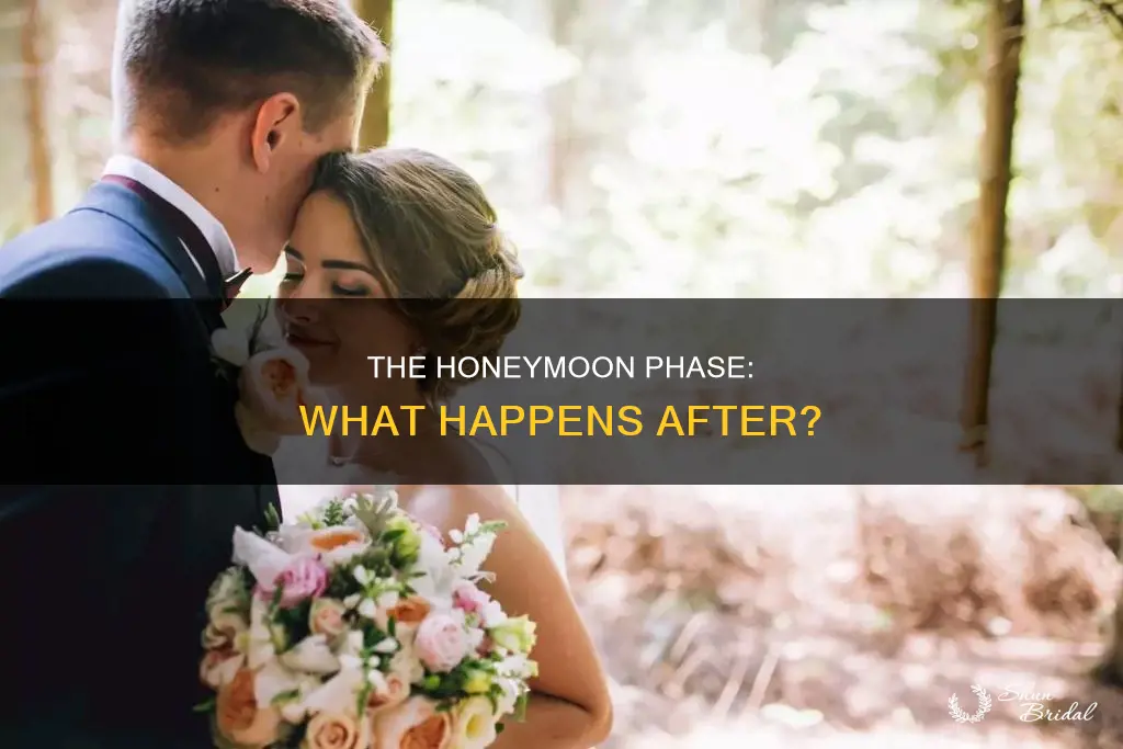 when honeymoon phse is over