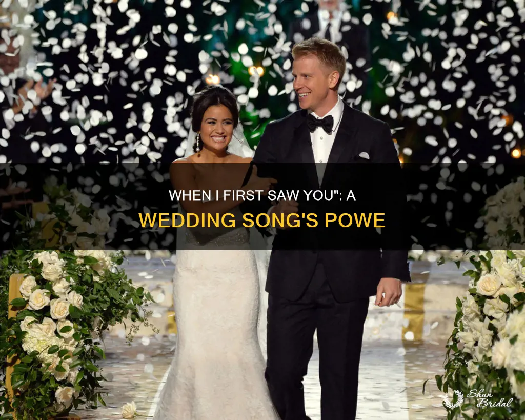 when I first saw you wedding song