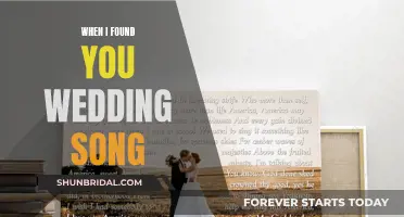 When I Found You': The Perfect Wedding Son