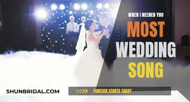 Wedding Song 'When I Needed You Most': A Love Story