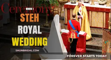 Witnessing the Royal Wedding: My Unforgettable Experience and Reflections