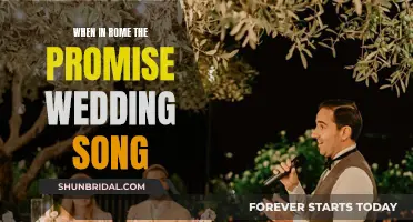 The Promise: A Wedding Song for the Ages