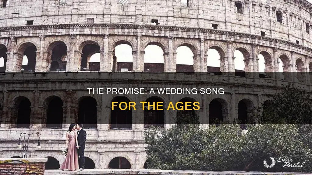 when in rome the promise wedding song