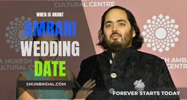 Anant Ambani's Wedding: Date, Details and More