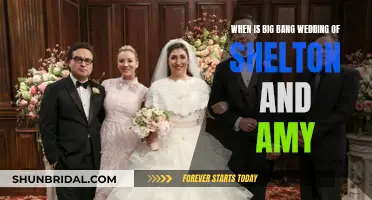 The Big Bang Theory: When Will Sheldon and Amy Tie the Knot?