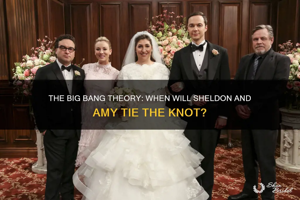 when is big bang wedding of shelton and amy