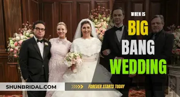 Big Bang Wedding: The Countdown Begins