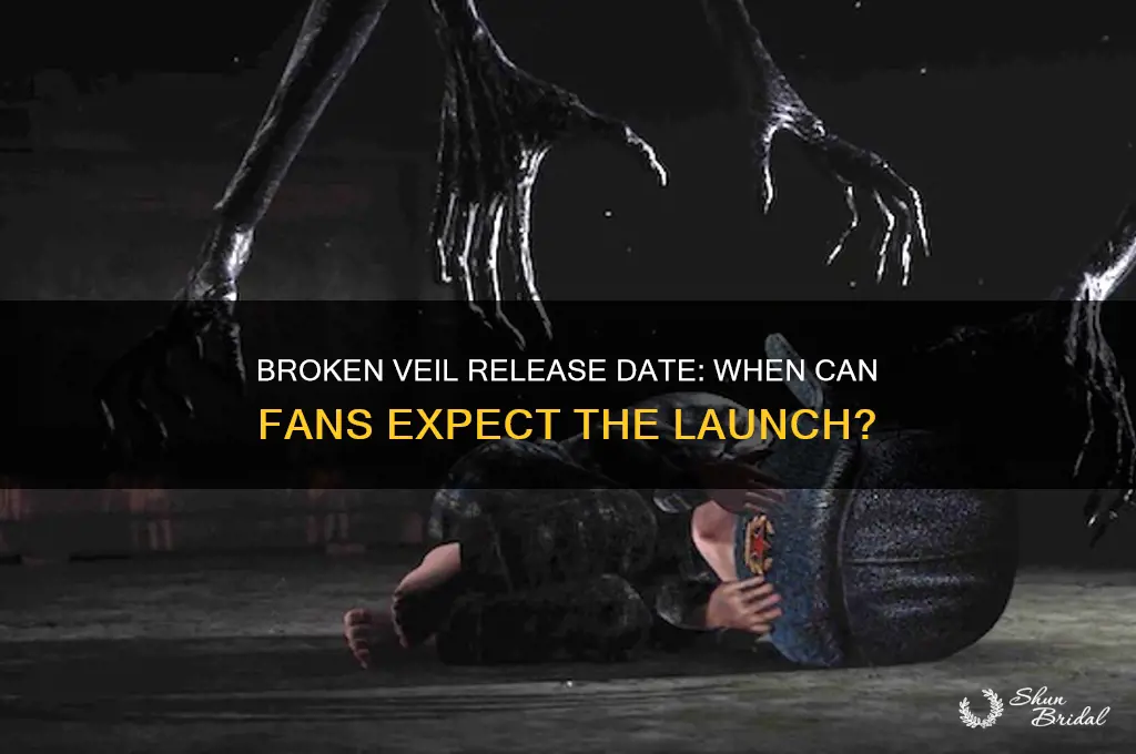 when is broken veil coming out