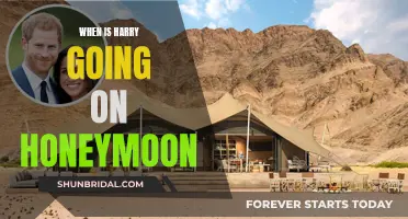 Harry's Honeymoon: A Romantic Escape After the Wedding