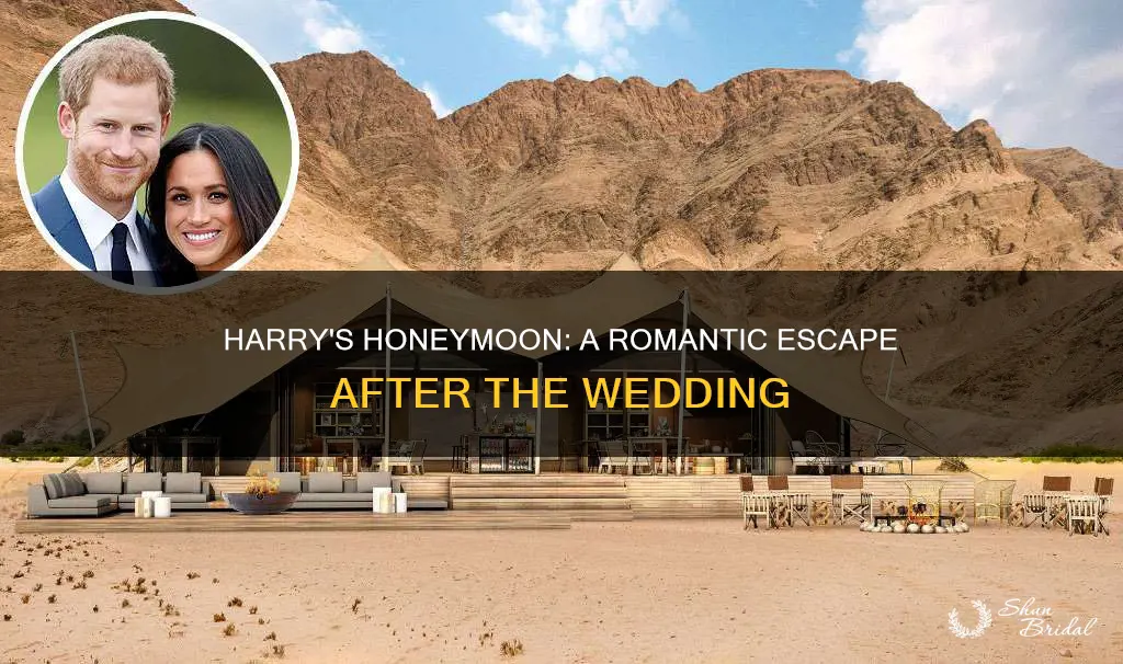 when is harry going on honeymoon