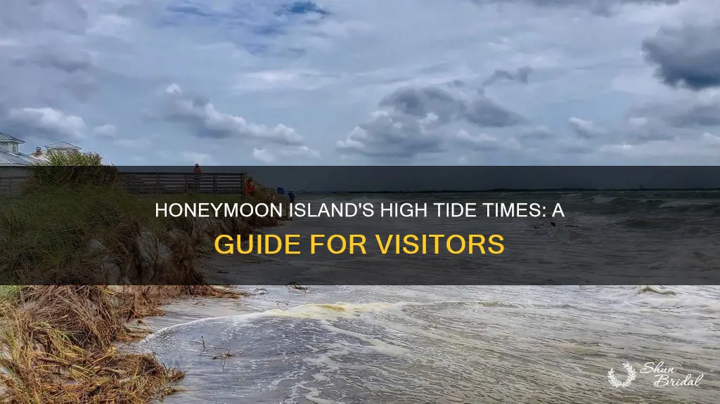 when is high tide at honeymoon island