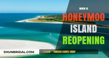 Honeymoon Island Reopening: Dates, Updates, and What to Expect Soon
