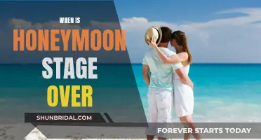 Honeymoon Over: When the Magic Fades and Reality Sets In