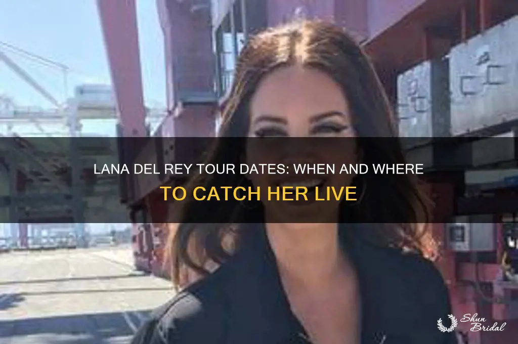 when is lana del rey touring