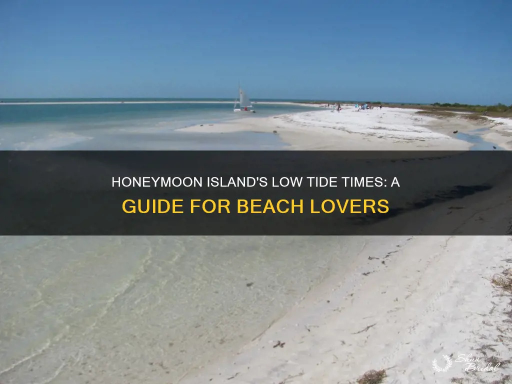 when is low tide at honeymoon island