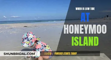 Honeymoon Island Low Tide Times: When to Visit