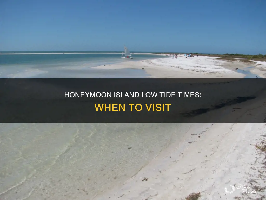 when is low tide at honeymoon island