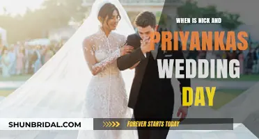 Nick and Priyanka's Wedding Day: Date, Details, and Celebrations