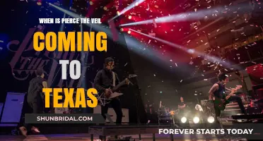 Pierce the Veil Texas Tour Dates: When Will They Return?