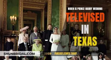 Harry and Meghan's Wedding: Texas TV Times