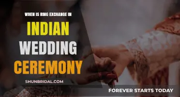The Perfect Moment: Ring Exchange in Indian Weddings