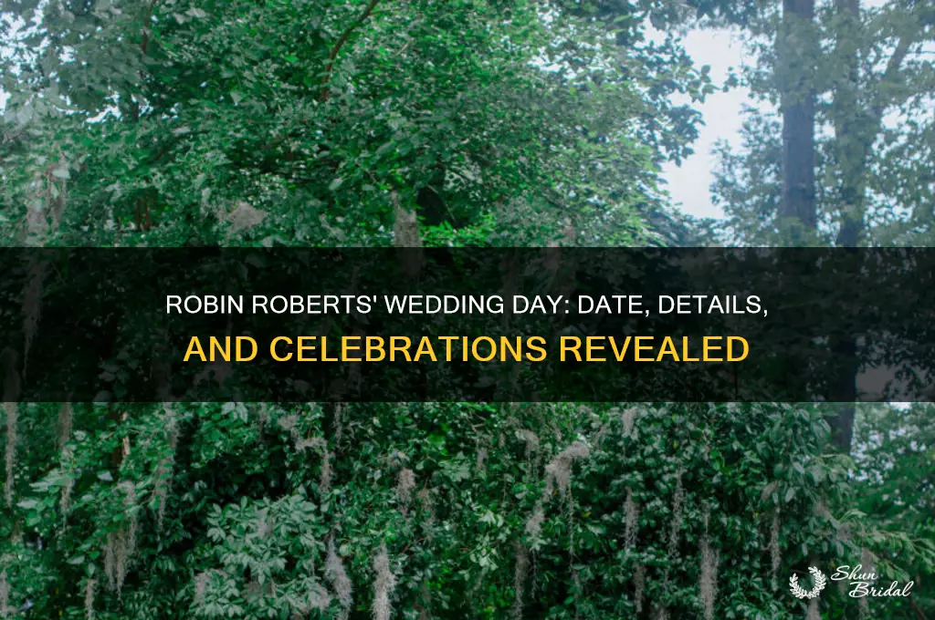 when is robin roberts wedding day
